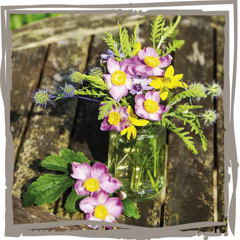 Windröschen 'Fräulein Sanft' dekorativer Strauß mit anderen Blüten